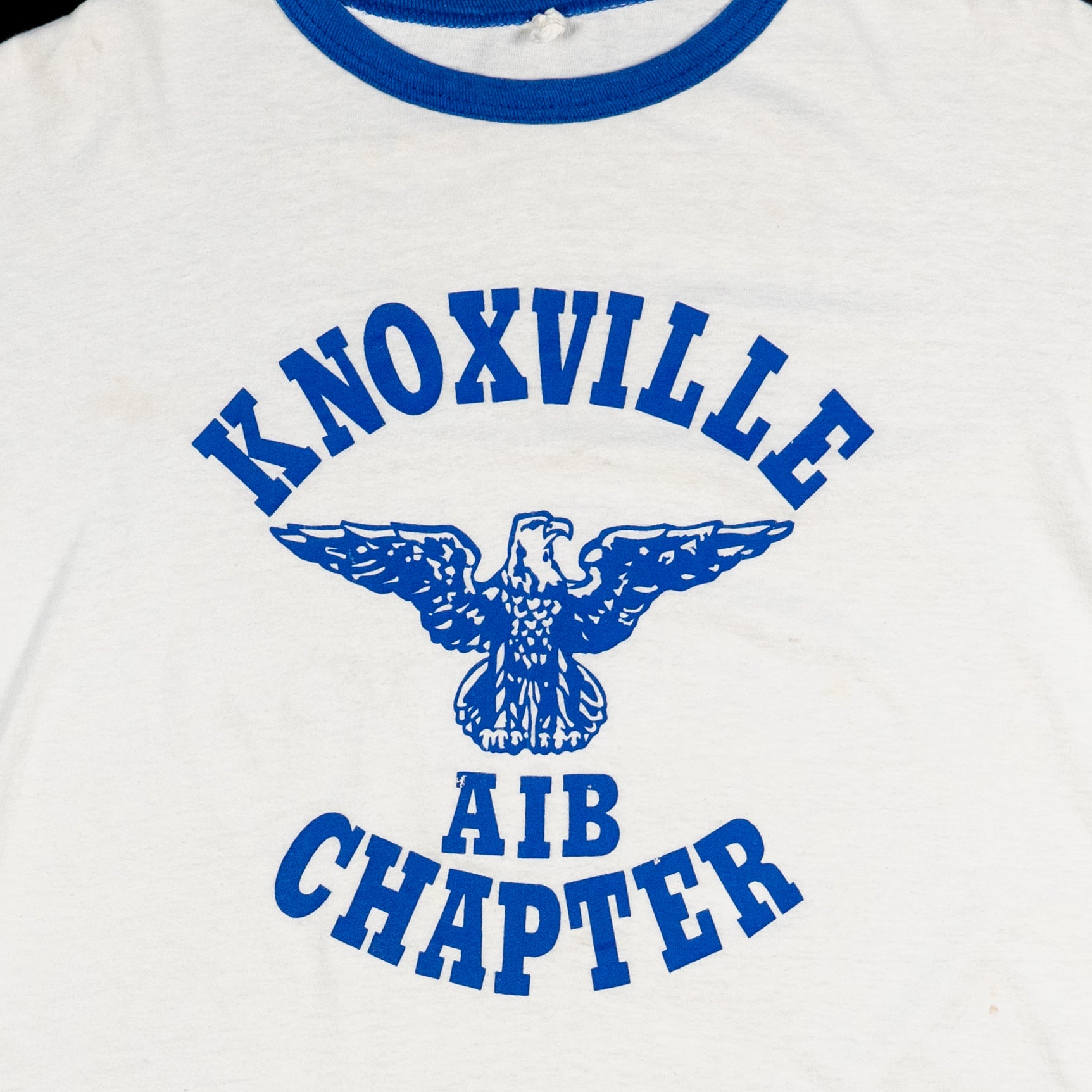 "Knoxville AIB Chapter" Ringer Tee - Details